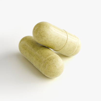 Zepfuel NAD+ 500mg with Quercetin & Resveratrol | 60 Capsules
